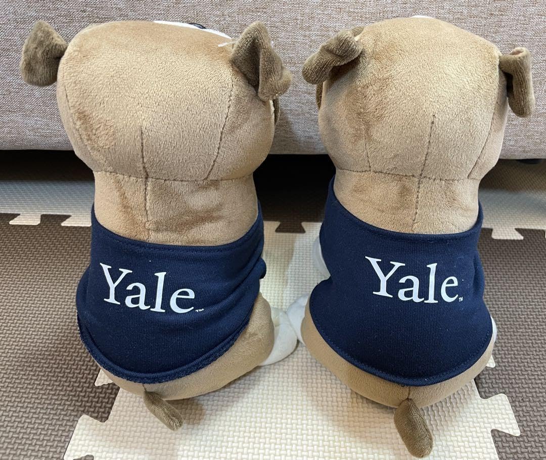 Amazon.co.jp: Yale University Yale Bulldog Mascot Plush Toy Set of